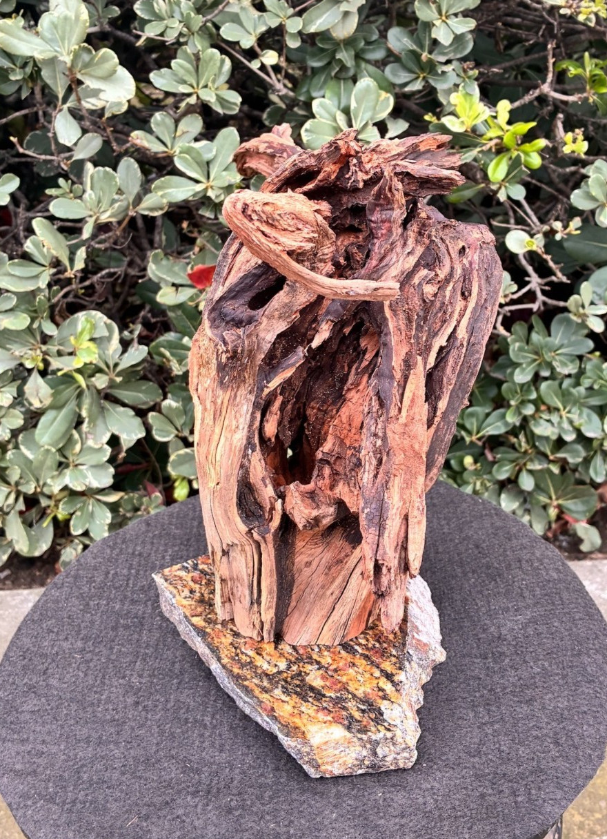 Aquarium Fish Tank Terrarium Aquascape  Manzanita Root Granite Base