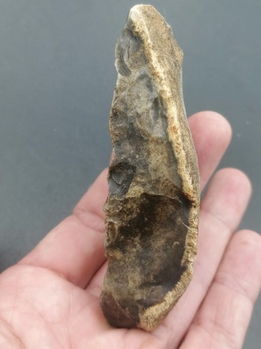 Early Middle Paleolithic Neanderthal Mousterian Backed Knife North of France - Picture 2 of 18