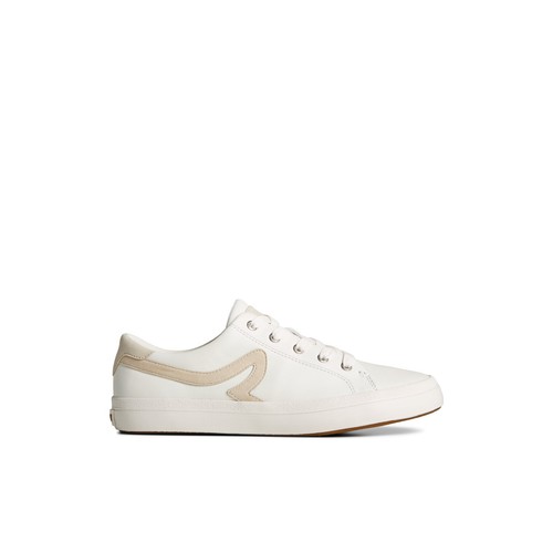 Nuova sneaker Sperry Sandy in pelle vulcanizzata tennis bassa bianca marrone taglia 7 7,5 - Foto 2 di 17