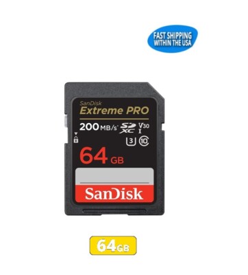 Sandisk Best Sd Card For Canon Sl3 Canon EOS Rebel SL3 Digital SLR