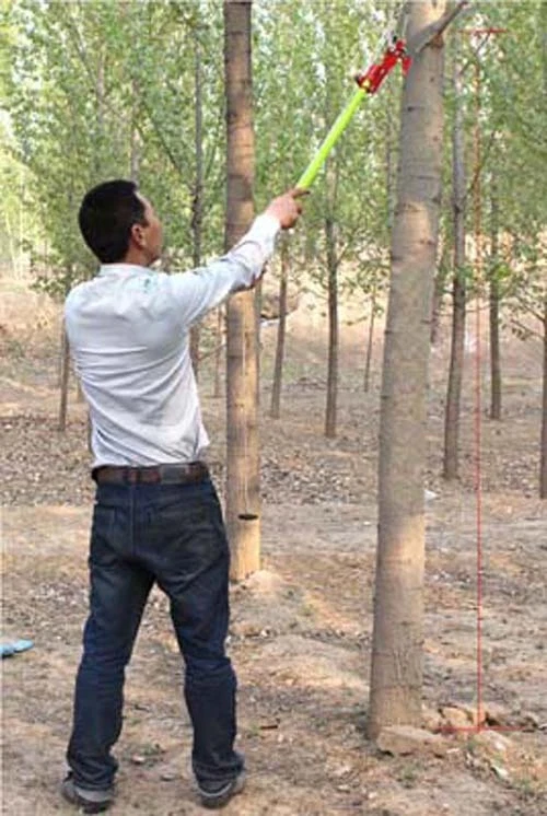 Hot Sale 26 Foot Tree Pole Pruner Tree Saw Outdoor Cutter Trimmer