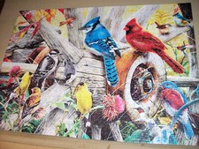 Backyard Birds Jigsaw Puzzle 1000 Pieces Master Pieces