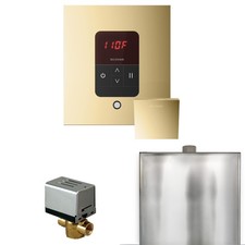 Mr Steam BBS Basic Butler Package Steam Shower Control Package - Brass