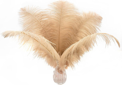 Ballinger Large Champagne Ostrich Feathers - 24pcs 12-14inch Boho Feathers for V