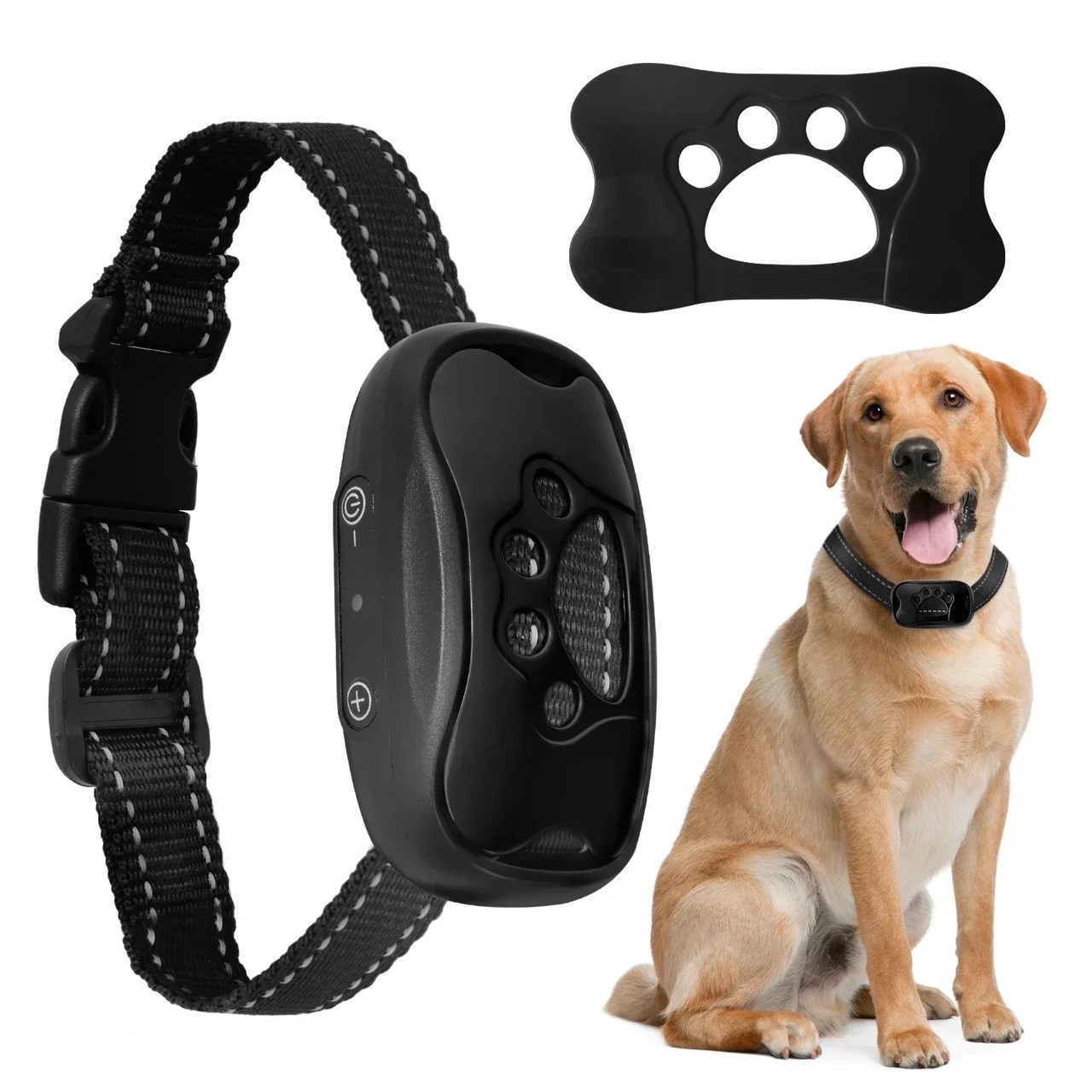Collier de dressage automatique pour chien idéal pour des promenades sereines en ville