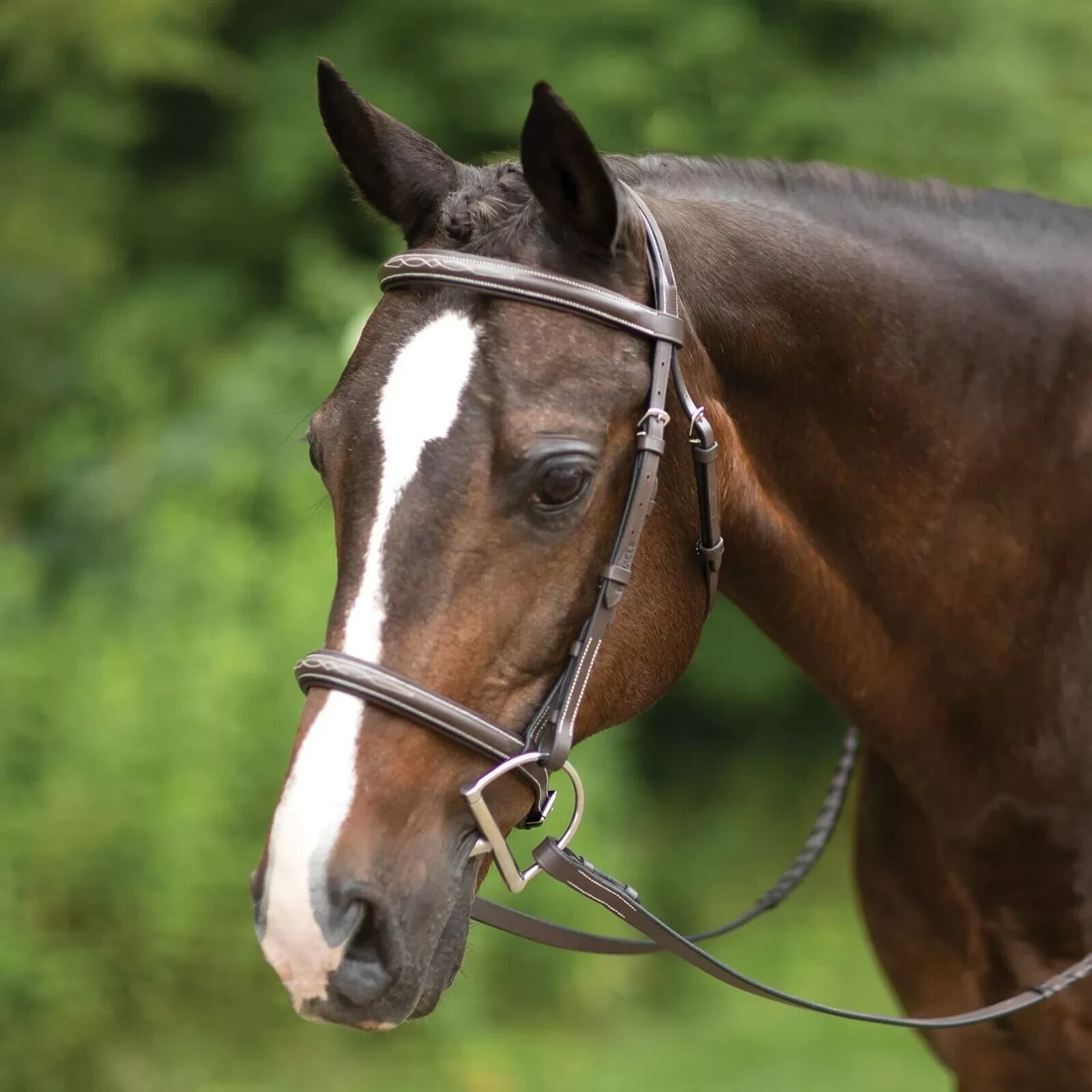 Premium Leather English Horse Bridle with Tack Set Available all Sizes