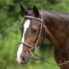 Premium Leather English Horse Bridle with Tack Set Available all Sizes