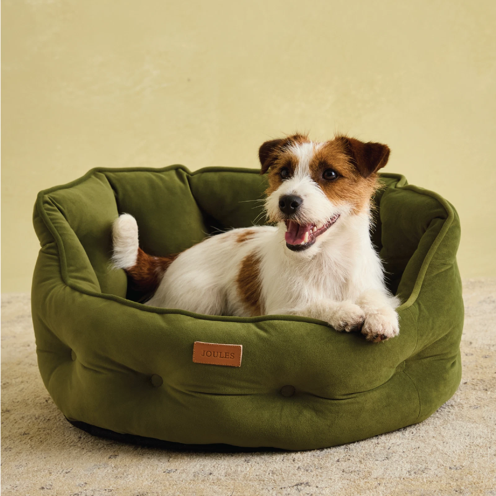 Joules Chesterfied Pet Bed - Khaki
Opens in a new window or tab