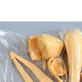 Dead or Alive 2 Ayane Dreamcast Ver. 1P Ver. Resin Cast Kit 1/6 Scale