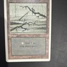 Magic: The Gathering Swamp Revised Edition Land Black Dan Frazier Wizards