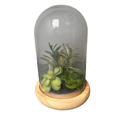 Succulent Terrarium Glass Wood Base Faux Plants Decorative Globe  Centerpiece | eBay