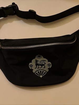destiny 2   Deep Stone Crypt   Fanny Pack