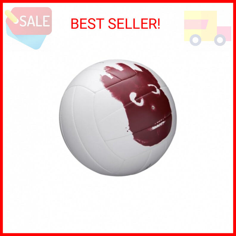 WILSON Cast Away Volleyballs Mini and Official Size eBay