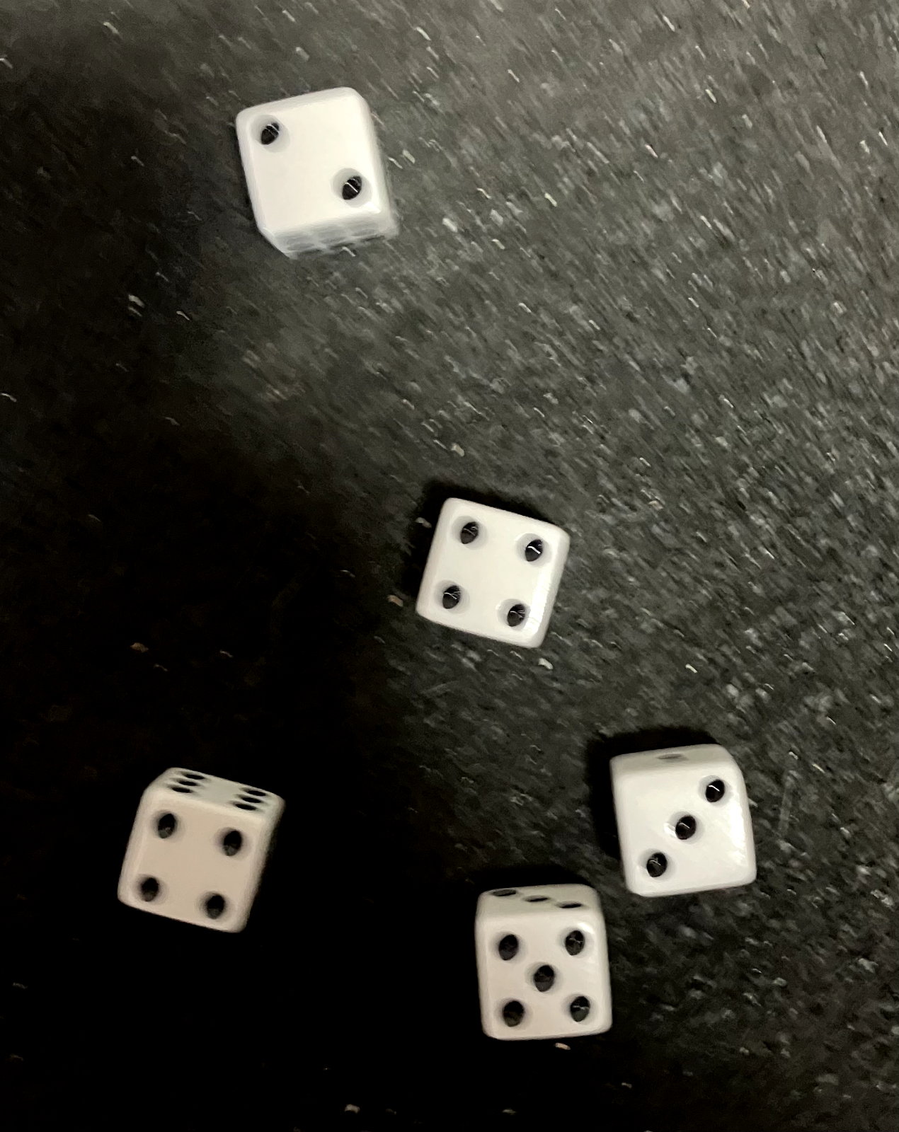 Picture 6 of 7