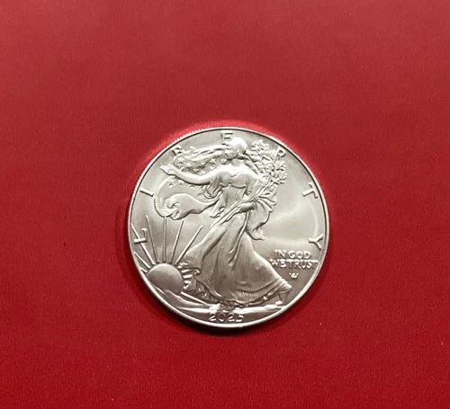 2025 WALKING LIBERTY .999 1 OZ. U.S. SILVER EAGLE COIN $1 Uncirculated R