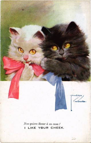 Carte Postale Vintage Humoristique Signée Par Un Artiste - Thème Chat - Tuck's