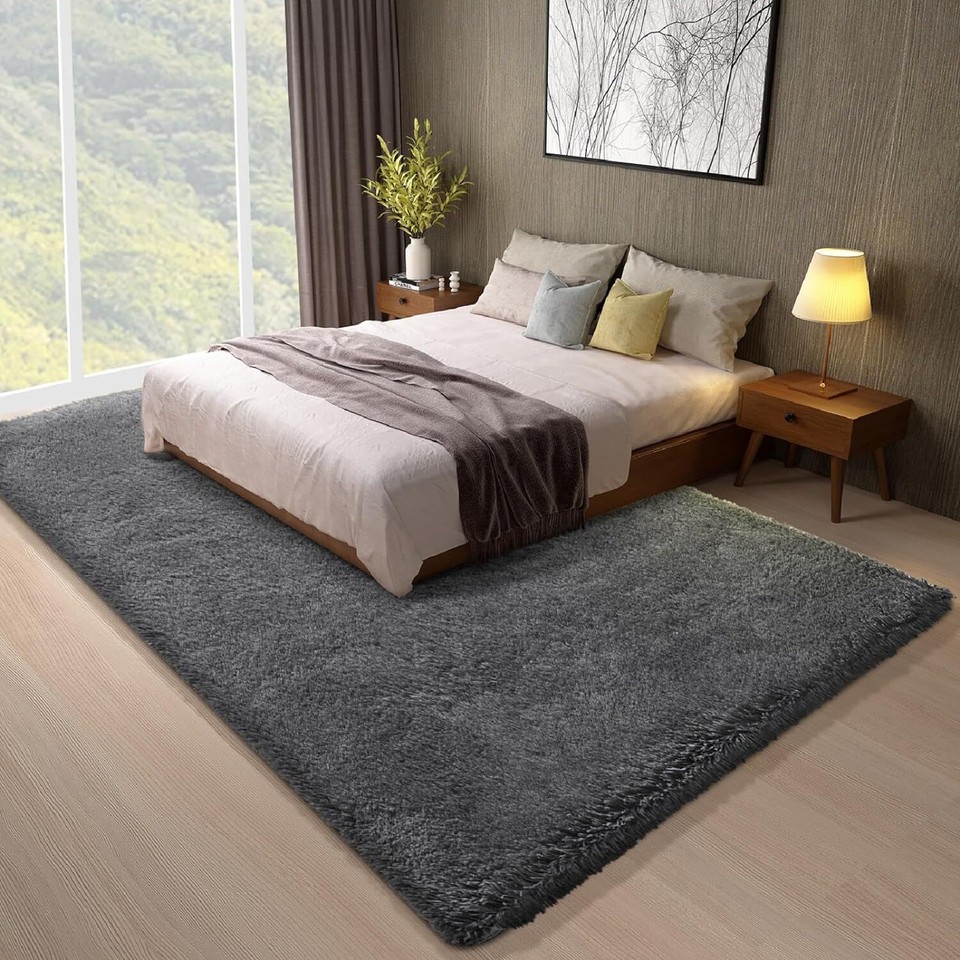Fluffy Rugs Anti-Slip Large Shaggy Rug Super Soft Mat Living Room ...