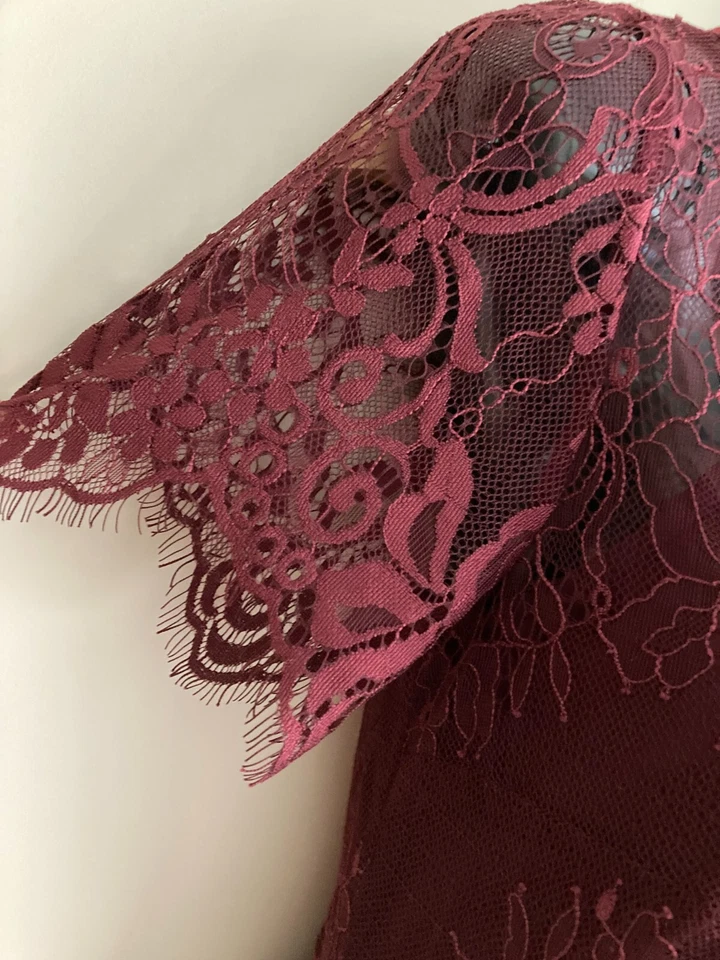 Alannah Hill Dark Plum sz 6 -before the Sunrise- dress separate slip - image 4 of 4