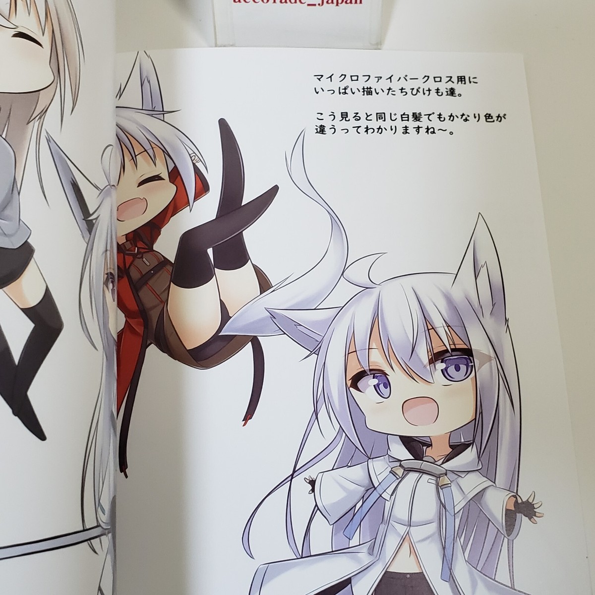 White Fox 6 Shirokemo Art Book Yukidoke Kitune B5/20P