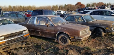 #ad Distributor 6 173 Fits 80 CITATION 2081067 $80.00