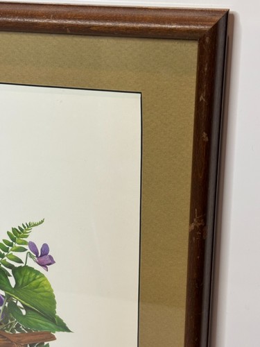 Vintage 70s Framed Roger Tory Peterson Wood Thrush Bird Ornithology Print 16x13 - Picture 5 of 9