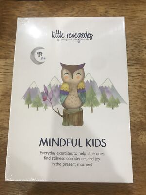 Little Renegades Ser.: Mindful Kids: Little Renegades : Mindful Kids by Blake...