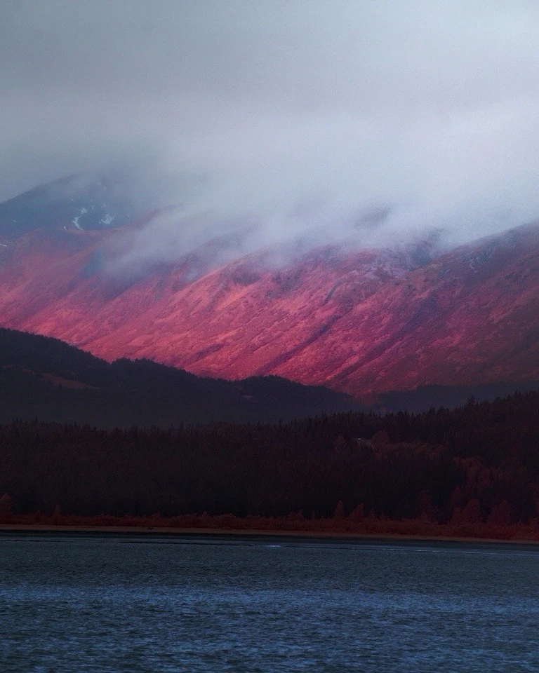 Aerochrome Filter - VisionArchitectOptics - VER 2 - Aerochrome EIR IR Chrome Ish - Image 4 of 4
