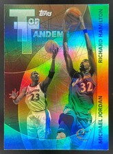 2002-03 Topps Top Tandems #TT6 Michael Jordan Richard Hamilton