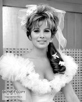 ACTRESS JILL ST. JOHN - 8X10 PUBLICITY PHOTO (EE-510)