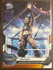 2017 Topps Now WWE Trading Cards 10