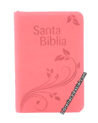 SANTA BIBLIA REINA VALERA 1960 LETRA GRANDE, INDICE, CIERRE, COLLECION CELESTIAL