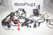 2017 - 2024 Yamaha R6 Yzfr6 Race Only Oem Wiring Harness Ecu Switches Qs Lot