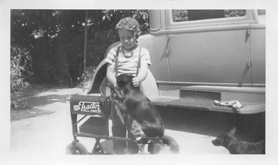 BMC Tractor Junior Pedal Car 1930s Photo Puppy Dog Sitting Seat Ford Coupe