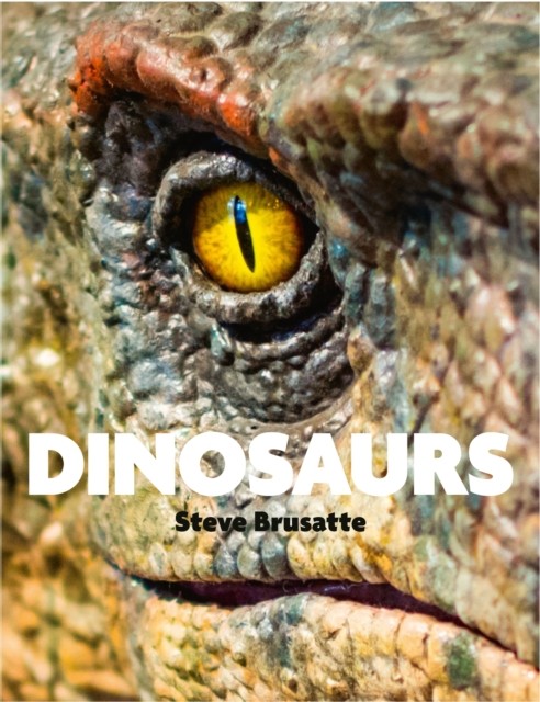 Dinosaurs Quercus - Image 3