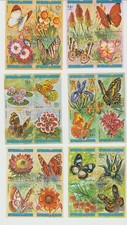 6  BLOCS  DE 4 TIMBRES PAPILLONS ET  FLEURS (+)