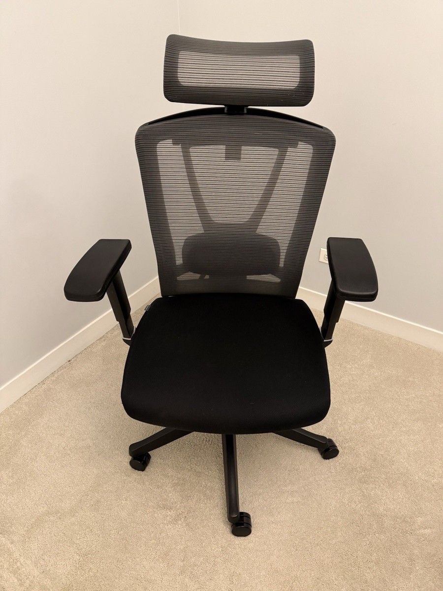 ergonomic office chair ergochair