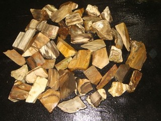 SMALL OLD MIXED PETRIFIED WOOD CUT SPECIMENS 7 POUNDS