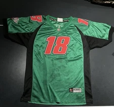 Vintage Chase Authentics Nascar Jersey Mens Large Bobby Labonte Green #18 