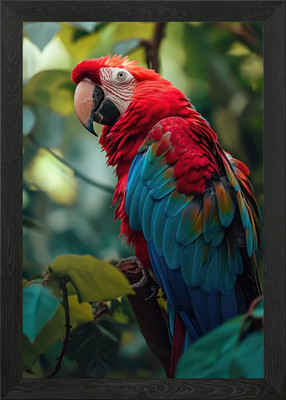 Macaw Parrot Framed Wall Art Poster Canvas Print Picture