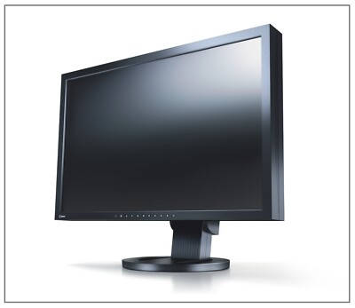 EIZO 24'' PC-Monitor 1920x1200 LCD / USB / Lautsprecher / DP  DVI VGA / Pivot 24M