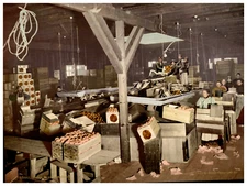 California, Redlands, Orange Packing Vintage photochrom print by Detroit Photoch