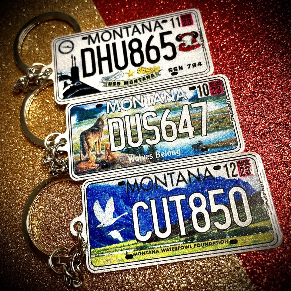 Personalized License Plate Keychain (Faces Can Be Different) Any State /Text/Pic - Image 2 of 4