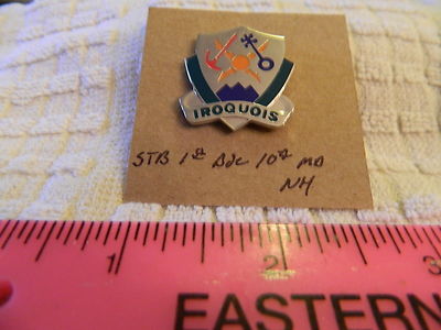 STB 1st Bde 10th Mountain Division NH Unit Crest, DI, DUI (DRAW#L5)