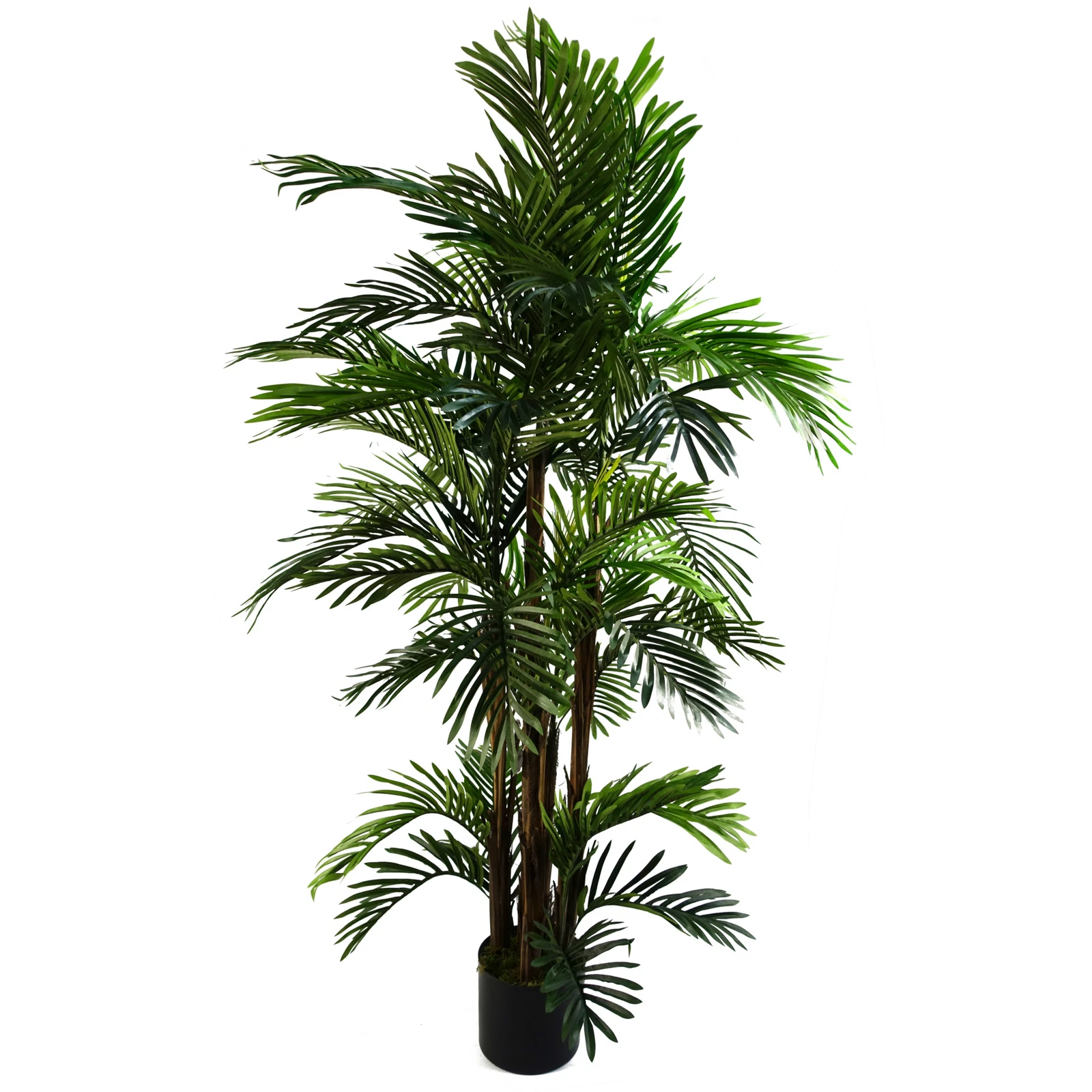 150cm Areca Palm - 40542