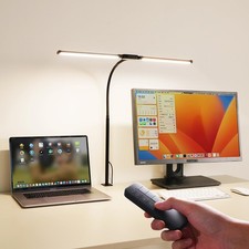 Dual-Head LED Desk Lamp for Office Home, Adjustable Flexible Eye-Caring Desk ...