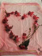 FRAAS The Scarf Company Bloomingdale  s Pale rose Print Scarf