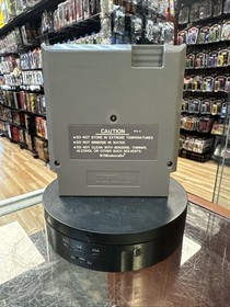 Kung Fu (Nintendo NES, Vintage Video game)