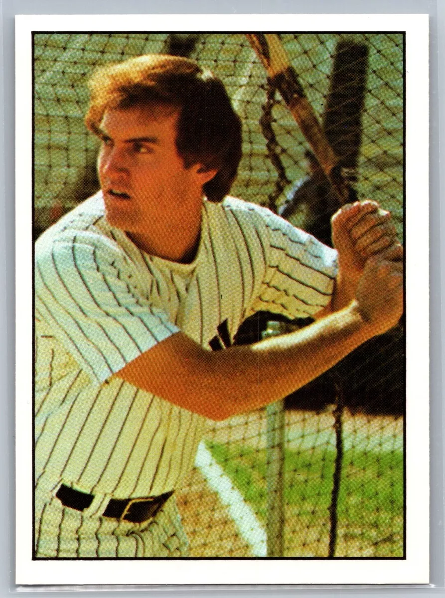 1975 SSPC GRAIG NETTLES #9 NEW YORK YANKEES