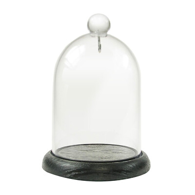 SELVA Echtglasdom mit Haken, zur staubfreien Aufbewahrung von Taschenuhren 