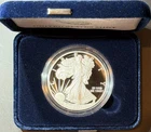 2021-W (Type 1) $1 Proof American 1oz Fine Silver Eagle Coin OGP & COA #45010